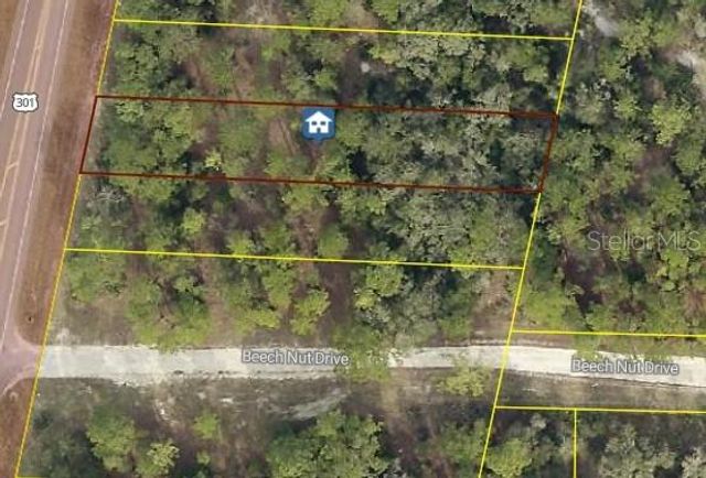 7430 TREIMAN BOULEVARD, Webster, FL 33597
