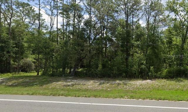 7430 TREIMAN BOULEVARD, Webster, FL 33597