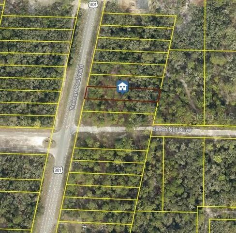 7430 TREIMAN BOULEVARD, Webster, FL 33597