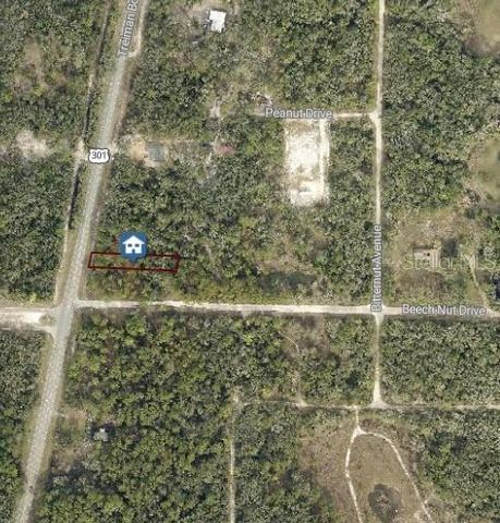 7430 TREIMAN BOULEVARD, Webster, FL 33597