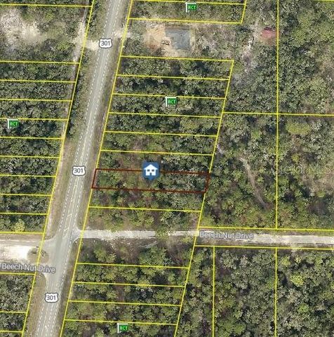 7430 TREIMAN BOULEVARD, Webster, FL 33597