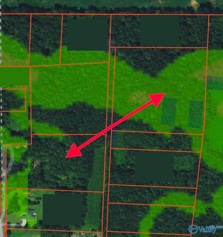 7 acres Carters Gin Road, Toney, AL 35773