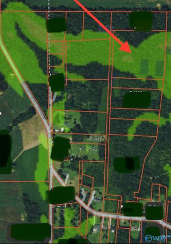 7 acres Carters Gin Road, Toney, AL 35773