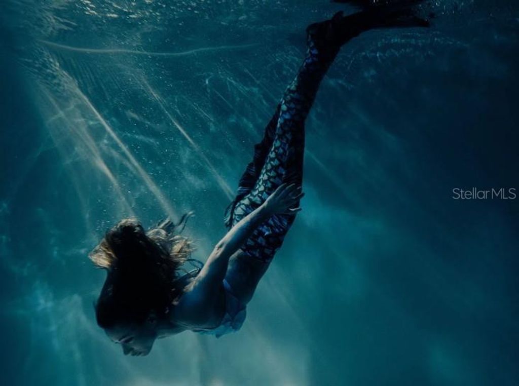 Image 22 of property listing at 13188 RED BONE AVENUE, Brooksville, FL 34614