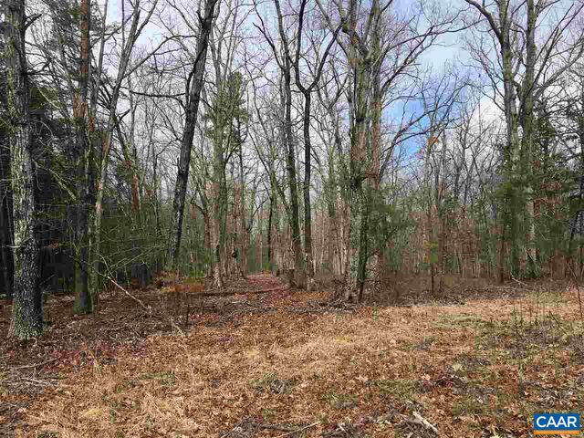 503 GARDEN LN, Palmyra, VA 22963