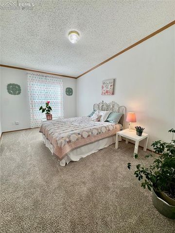 9403 Summer Meadows Drive, Colorado Springs, CO 80925