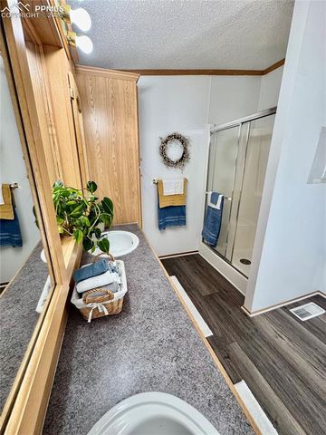 9403 Summer Meadows Drive, Colorado Springs, CO 80925