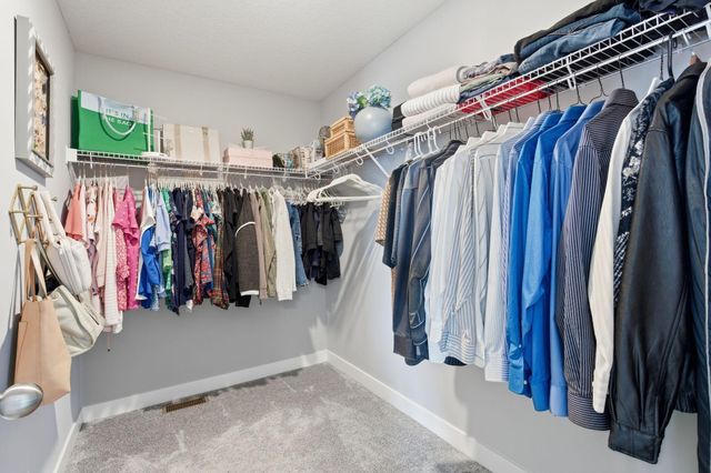 1241 Maple Lane, Carver, MN 55315