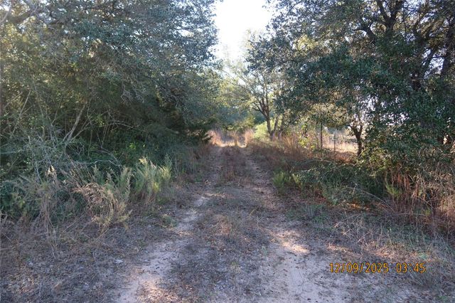 CR 119 Road 1023, Sheridan, TX 77475