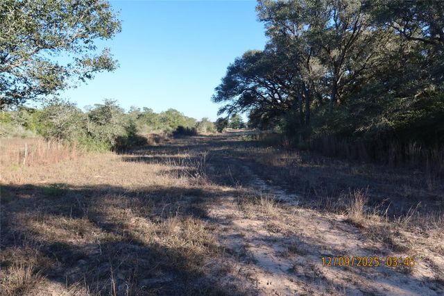 CR 119 Road 1023, Sheridan, TX 77475