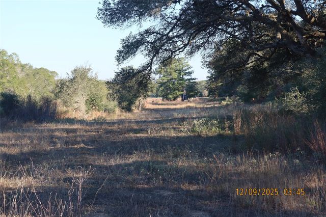 CR 119 Road 1023, Sheridan, TX 77475