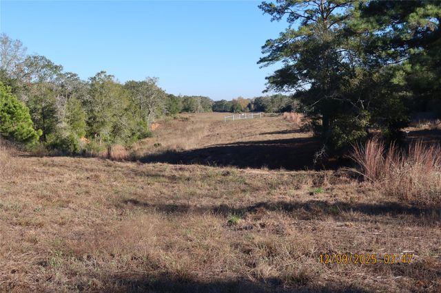 CR 119 Road 1023, Sheridan, TX 77475