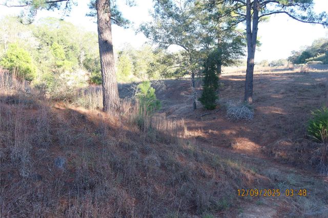 CR 119 Road 1023, Sheridan, TX 77475