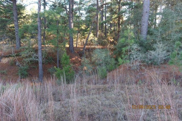 CR 119 Road 1023, Sheridan, TX 77475