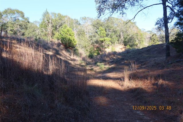 CR 119 Road 1023, Sheridan, TX 77475