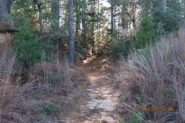 CR 119 Road 1023, Sheridan, TX 77475