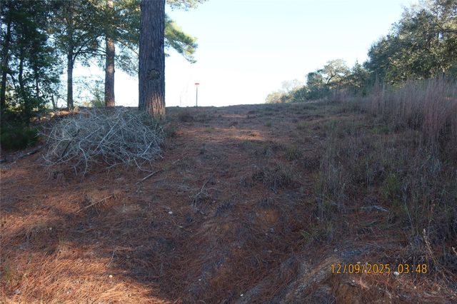 CR 119 Road 1023, Sheridan, TX 77475