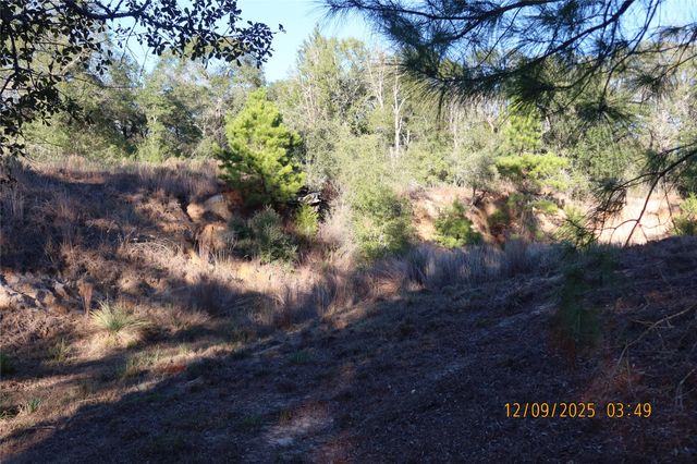 CR 119 Road 1023, Sheridan, TX 77475