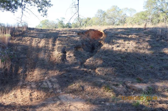 CR 119 Road 1023, Sheridan, TX 77475