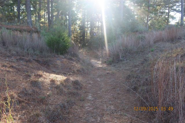 CR 119 Road 1023, Sheridan, TX 77475