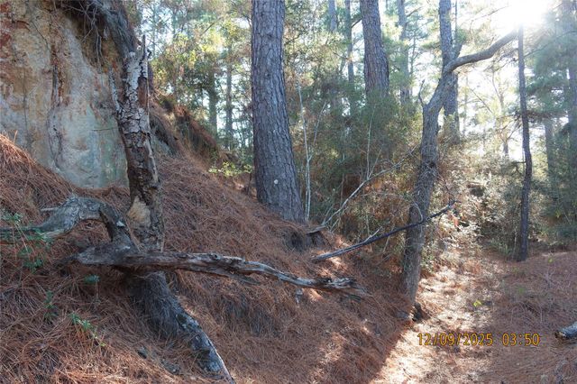 CR 119 Road 1023, Sheridan, TX 77475