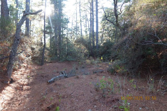 CR 119 Road 1023, Sheridan, TX 77475