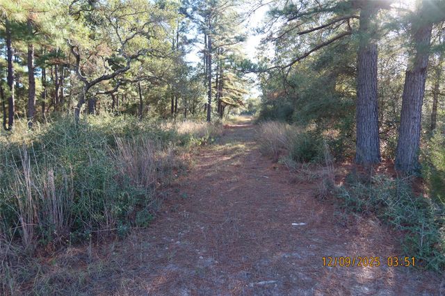 CR 119 Road 1023, Sheridan, TX 77475