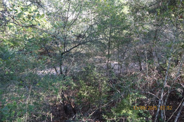 CR 119 Road 1023, Sheridan, TX 77475