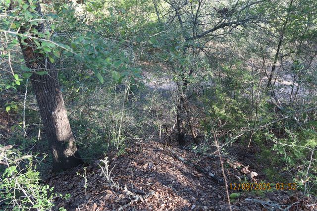 CR 119 Road 1023, Sheridan, TX 77475