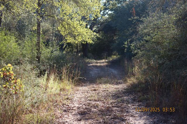 CR 119 Road 1023, Sheridan, TX 77475