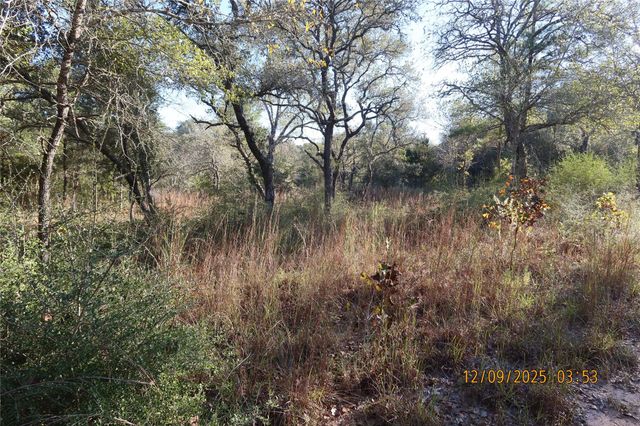 CR 119 Road 1023, Sheridan, TX 77475