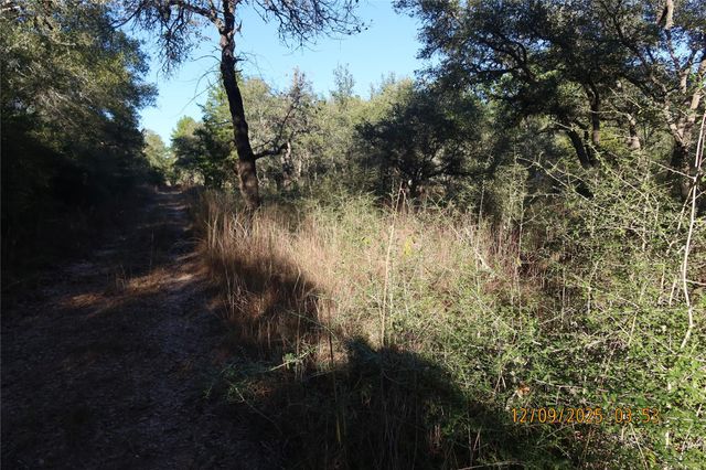 CR 119 Road 1023, Sheridan, TX 77475