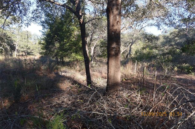 CR 119 Road 1023, Sheridan, TX 77475