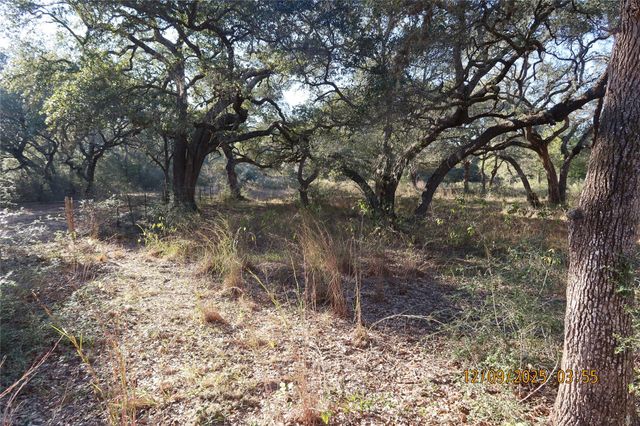 CR 119 Road 1023, Sheridan, TX 77475