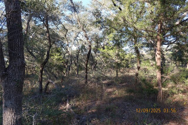 CR 119 Road 1023, Sheridan, TX 77475