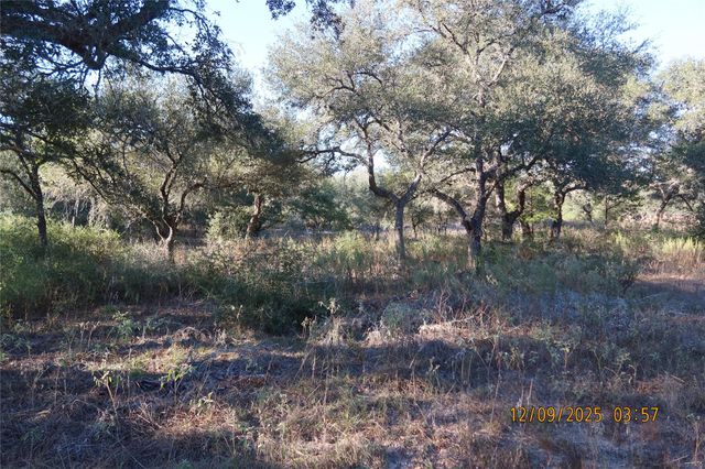 CR 119 Road 1023, Sheridan, TX 77475