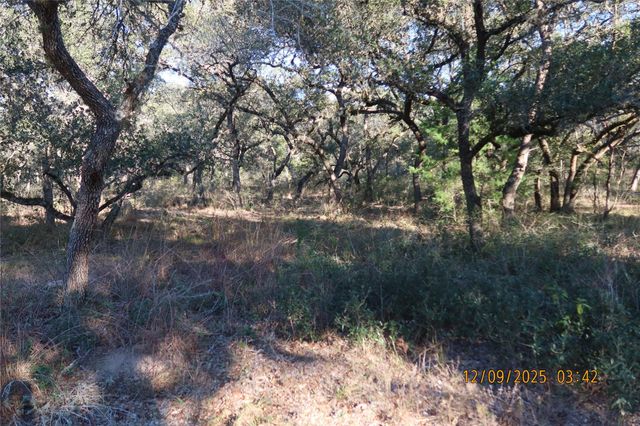 CR 119 Road 1023, Sheridan, TX 77475