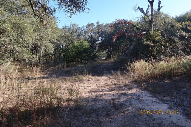 CR 119 Road 1023, Sheridan, TX 77475