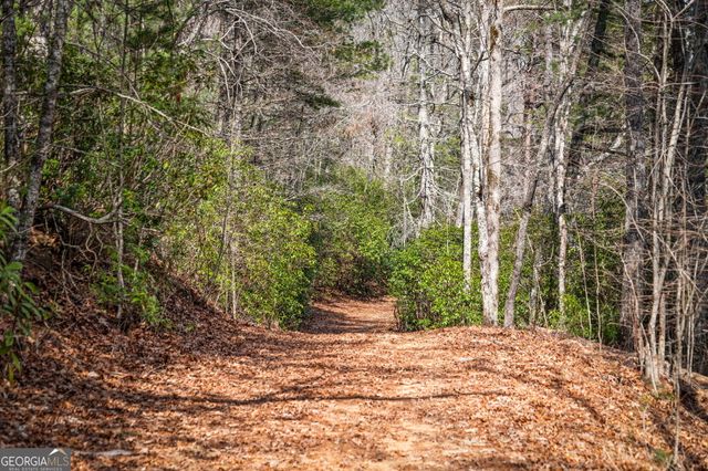 120 Cohutta Ranch Road, Blue Ridge, GA 30513