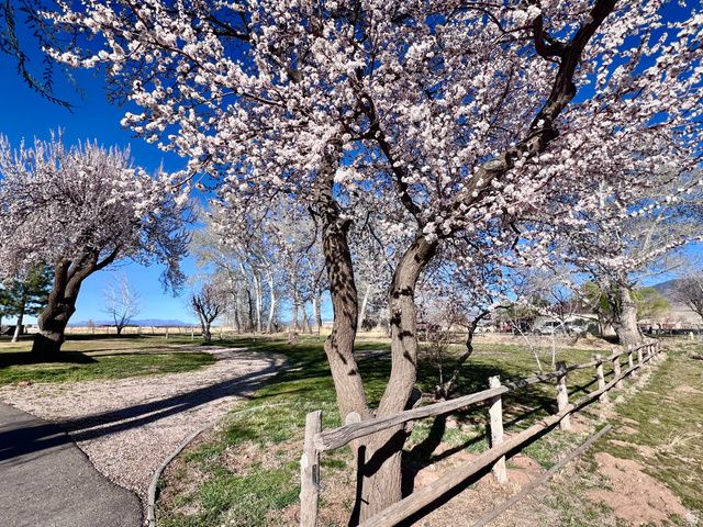 479 E 100 N, Meadow, UT 84644