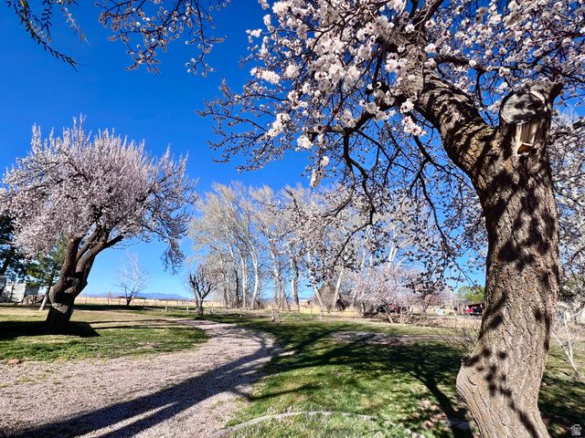 479 E 100 N, Meadow, UT 84644