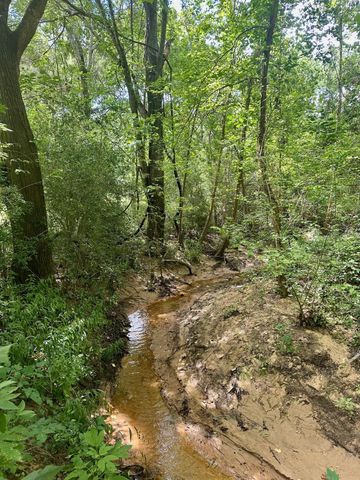 24661 Squirrel Road, New Ulm, TX 78950