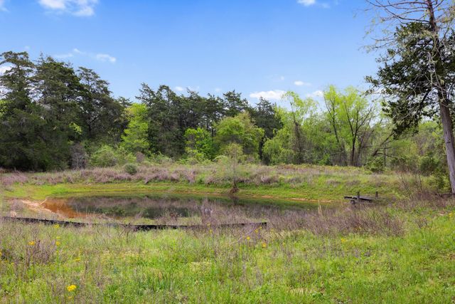 24661 Squirrel Road, New Ulm, TX 78950