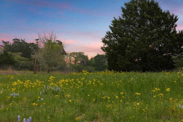 24661 Squirrel Road, New Ulm, TX 78950