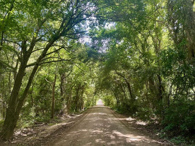 24661 Squirrel Road, New Ulm, TX 78950