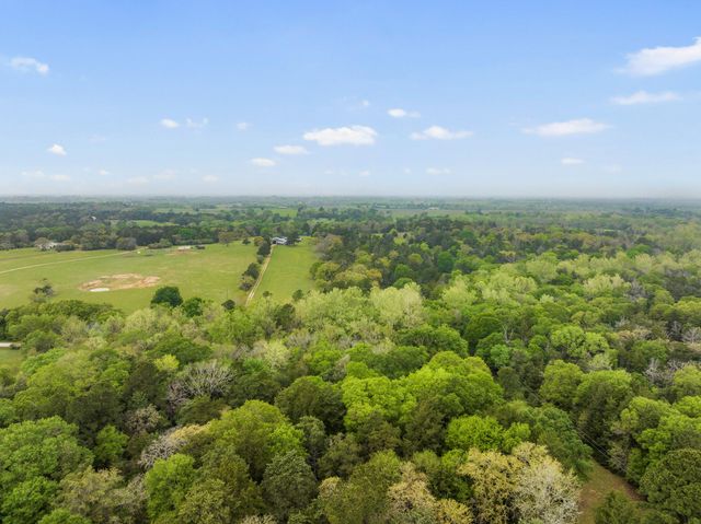 24661 Squirrel Road, New Ulm, TX 78950