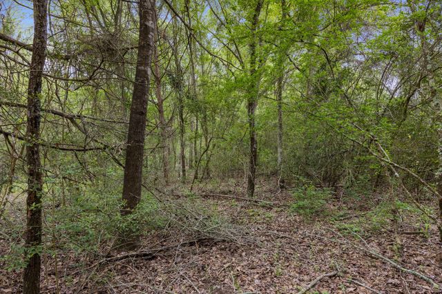 24661 Squirrel Road, New Ulm, TX 78950