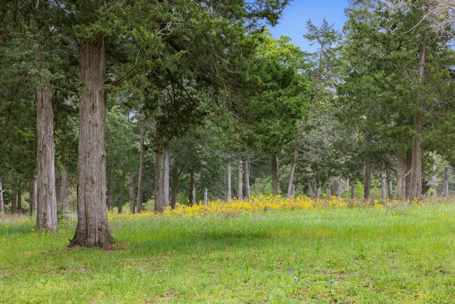 24661 Squirrel Road, New Ulm, TX 78950