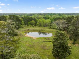 24661 Squirrel Road, New Ulm, TX 78950