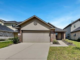 24110 Mustang Run Drive, Hockley, TX 77447